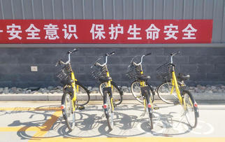 助力办公路上“最后一公里” | Pando庞度·河北龙大引入免费“小黄车”，员工办公更方便啦！